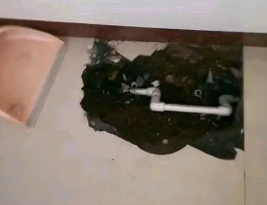 霸州卫生间测漏水多少钱